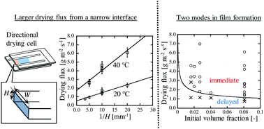 Graphical abstract: A quantitative study of enhanced drying flux from a narrow liquid–air interface of colloidal suspensions during directional drying