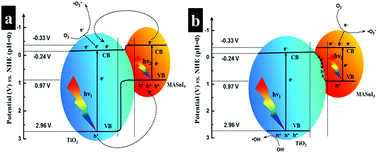 Graphical abstract: Formation of n–n type heterojunction-based tin organic–inorganic hybrid perovskite composites and their functions in the photocatalytic field