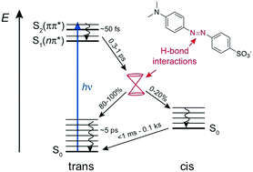 Graphical abstract: Influence of the hydrogen-bond interactions on the excited-state dynamics of a push–pull azobenzene dye: the case of Methyl Orange