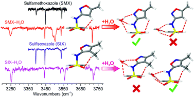 Graphical abstract: Site-specific binding of a water molecule to the sulfa drugs sulfamethoxazole and sulfisoxazole: a laser-desorption isomer-specific UV and IR study