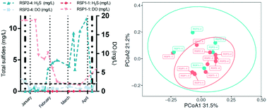 Graphical abstract: Emerging investigators series: hydrogen sulfide production in municipal stormwater retention ponds under ice covered conditions: a study of water quality and SRB populations