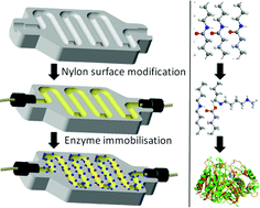 Graphical abstract: Tuneable 3D printed bioreactors for transaminations under continuous-flow