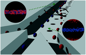 Graphical abstract: Thermo-acoustofluidic separation of vesicles based on cholesterol content