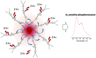 Graphical abstract: Design of two-photon absorbing fluorophores for FRET antenna-core oxygen probes