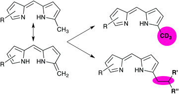 Graphical abstract: Deuteration and tautomeric reactivity of the 1-methyl functionality of free-base dipyrrins