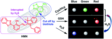 Graphical abstract: A multi-signal fluorescent probe for simultaneously distinguishing and sequentially sensing cysteine/homocysteine, glutathione, and hydrogen sulfide in living cells
