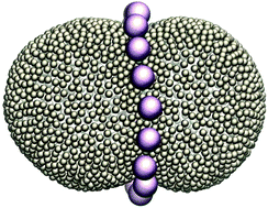 Graphical abstract: Curvature variation controls particle aggregation on fluid vesicles