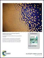 Graphical abstract: Back cover