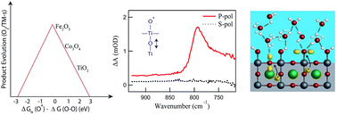 Graphical abstract: One-electron intermediates of water oxidation & the role of solvation in their stability