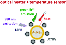 Graphical abstract: Upconversion nanoparticle-decorated gold nanoshells for near-infrared induced heating and thermometry