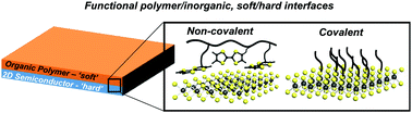 Graphical abstract: Combining 2D inorganic semiconductors and organic polymers at the frontier of the hard–soft materials interface