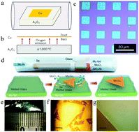 Graphical abstract: THz photonics in two dimensional materials and metamaterials: properties, devices and prospects