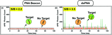 Graphical abstract: Optimizing peptide nucleic acid probes for hybridization-based detection and identification of bacterial pathogens