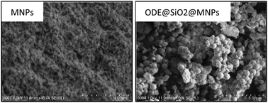 Graphical abstract: Selective magnetic mercury(ii) ion capturing ligand-doped silica gel for water analysis