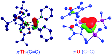 Graphical abstract: Recent developments in actinide metallacycles