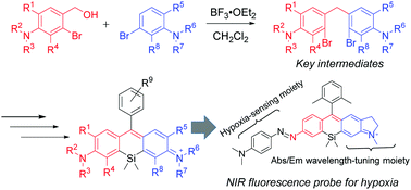 Graphical abstract: Synthesis of unsymmetrical Si-rhodamine fluorophores and application to a far-red to near-infrared fluorescence probe for hypoxia