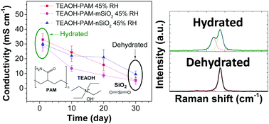 Graphical abstract: The effect of SiO2 additives on solid hydroxide ion-conducting polymer electrolytes: a Raman microscopy study