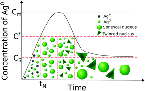 Graphical abstract: Mechanism and modeling of poly[vinylpyrrolidone] (PVP) facilitated synthesis of silver nanoplates