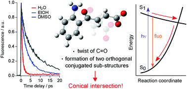 Graphical abstract: Ultrafast excited state decay of natural UV filters: from intermolecular hydrogen bonds to a conical intersection