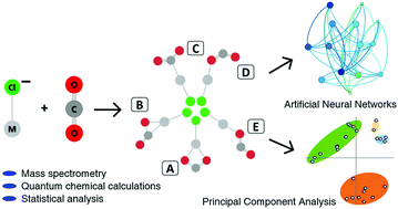 Graphical abstract: The activation of carbon dioxide by first row transition metals (Sc–Zn)