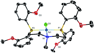 Graphical abstract: Performance of enhanced DuBois type water reduction catalysts (WRC) in artificial photosynthesis – effects of various proton relays during catalysis