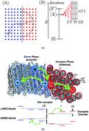 Graphical abstract: How charges separate: correlating disorder, free energy, and open-circuit voltage in organic photovoltaics