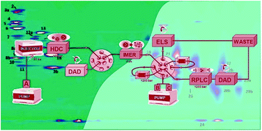 Graphical abstract: Perspectives on the future of multi-dimensional platforms