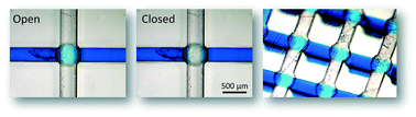 Graphical abstract: 3D-printed Quake-style microvalves and micropumps