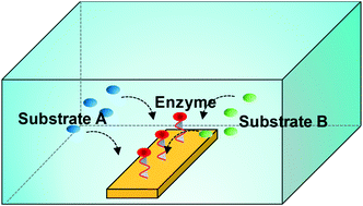 Graphical abstract: Diffusion–reaction kinetics of microfluidic amperometric biosensors