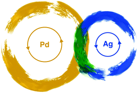 Graphical abstract: Beyond the traditional roles of Ag in catalysis: the transmetalating ability of organosilver(i) species in Pd-catalysed reactions