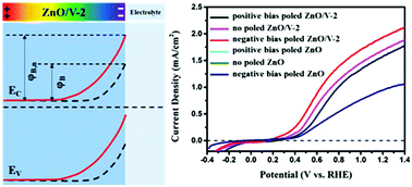 Graphical abstract: Ferroelectric polarization-enhanced charge separation in a vanadium-doped ZnO photoelectrochemical system