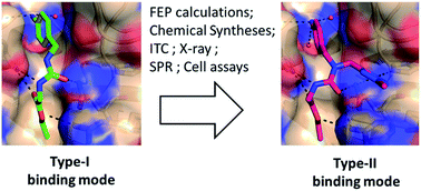 Graphical abstract: A computationally designed binding mode flip leads to a novel class of potent tri-vector cyclophilin inhibitors