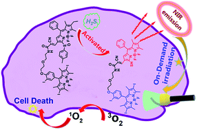 Graphical abstract: Activatable near-infrared emission-guided on-demand administration of photodynamic anticancer therapy with a theranostic nanoprobe