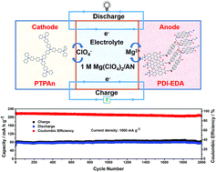 Graphical abstract: Magnesium ion based organic secondary batteries