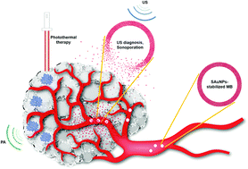 Graphical abstract: Smart gold nanoparticle-stabilized ultrasound microbubbles as cancer theranostics