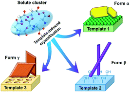 Graphical abstract: Template-induced nucleation for controlling crystal polymorphism: from molecular mechanisms to applications in pharmaceutical processing