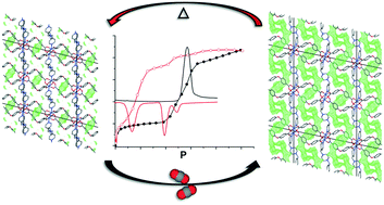 Graphical abstract: A new dynamic framework with direct in situ visualisation of breathing under CO2 gas pressure