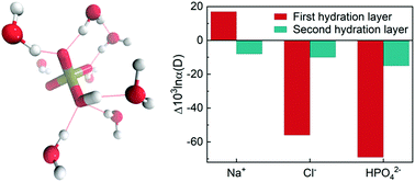 Graphical abstract: Quantum kinetic energy and isotope fractionation in aqueous ionic solutions