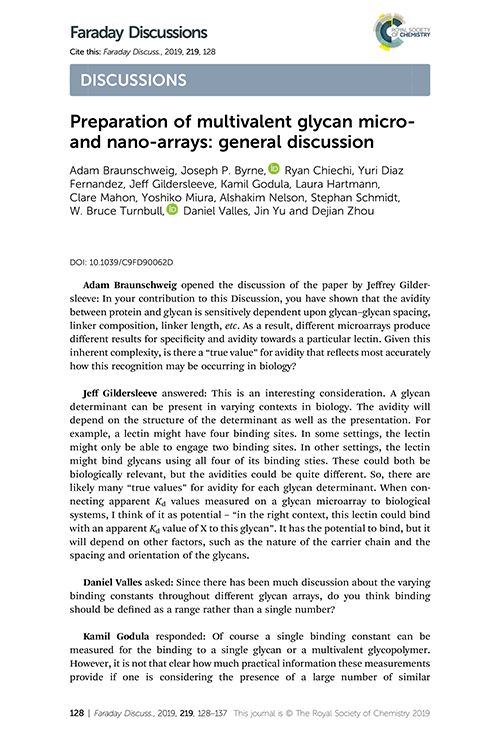 Preparation of multivalent glycan micro- and nano-arrays: general discussion