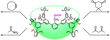 Graphical abstract: Model study on trapping of protein selenenic acids by utilizing a stable synthetic congener