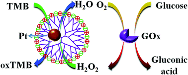 Graphical abstract: Highly biocompatible zwitterionic dendrimer-encapsulated platinum nanoparticles for sensitive detection of glucose in complex medium