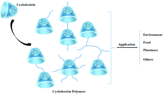 Graphical abstract: The classification and application of cyclodextrin polymers: a review