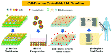 Graphical abstract: Layer-by-layer assembly of nanofilms to control cell functions