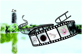 Graphical abstract: Joining the journey to near infrared (NIR) imaging: the emerging role of lanthanides in the designing of molecular probes