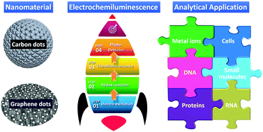 Graphical abstract: Carbon-based dots for electrochemiluminescence sensing