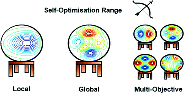 Graphical abstract: Algorithms for the self-optimisation of chemical reactions