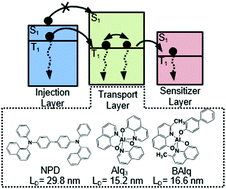 Graphical abstract: Measurement of the triplet exciton diffusion length in organic semiconductors