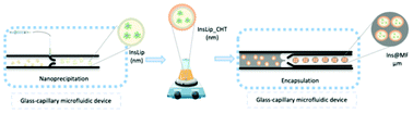 Graphical abstract: All-in-one microfluidic assembly of insulin-loaded pH-responsive nano-in-microparticles for oral insulin delivery