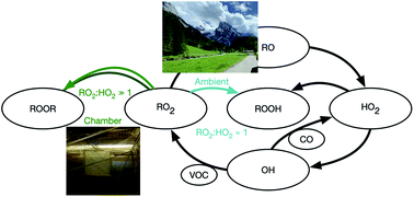 Graphical abstract: Peroxy radical kinetics and new particle formation