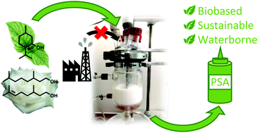 Graphical abstract: Biosourced terpenoids for the development of sustainable acrylic pressure-sensitive adhesives via emulsion polymerisation